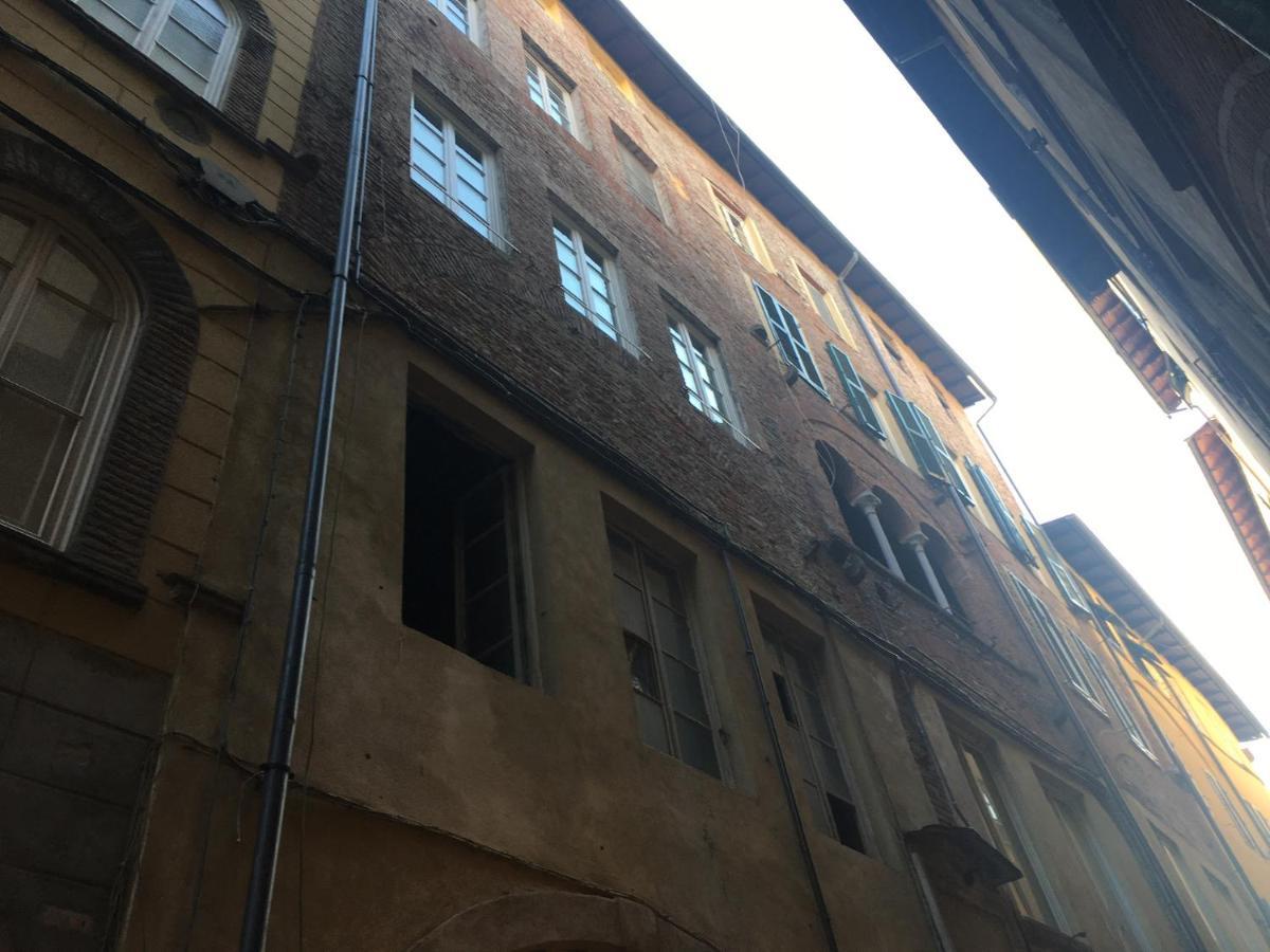 La Conchiglia Apartment Лука Екстериор снимка